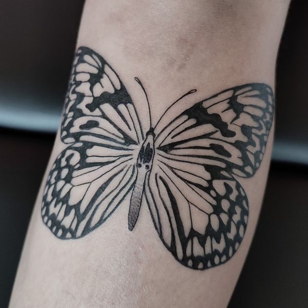 Butterfly