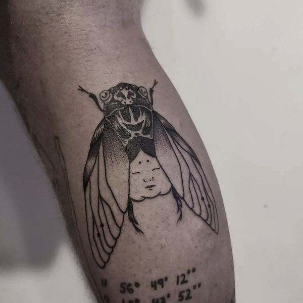 Cicada