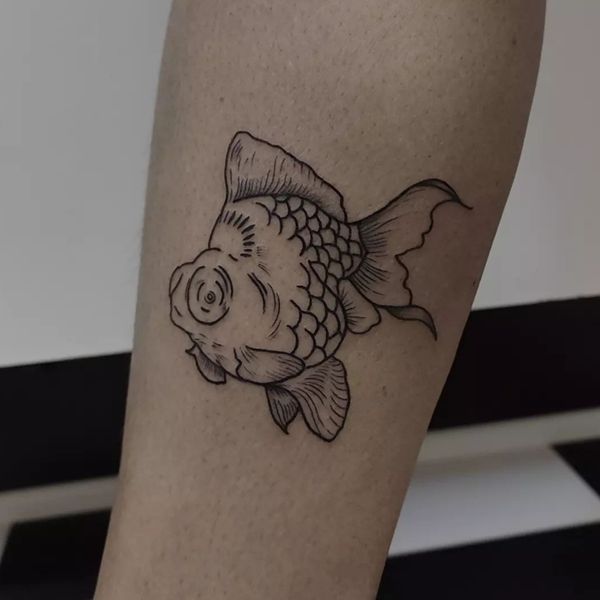 Fish