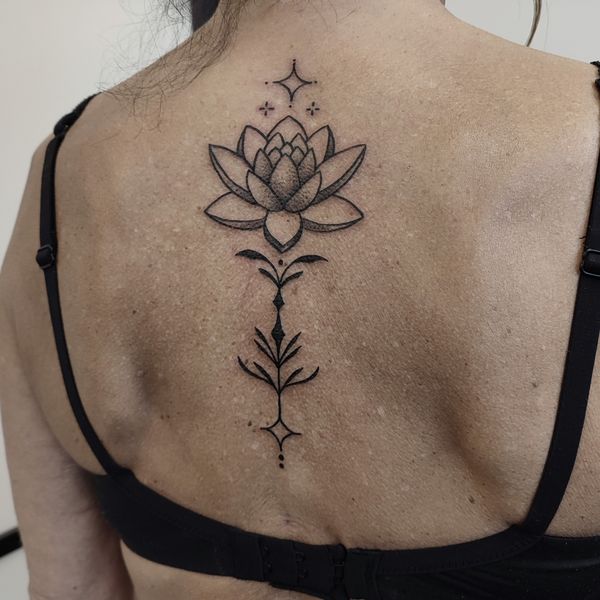 Lotus